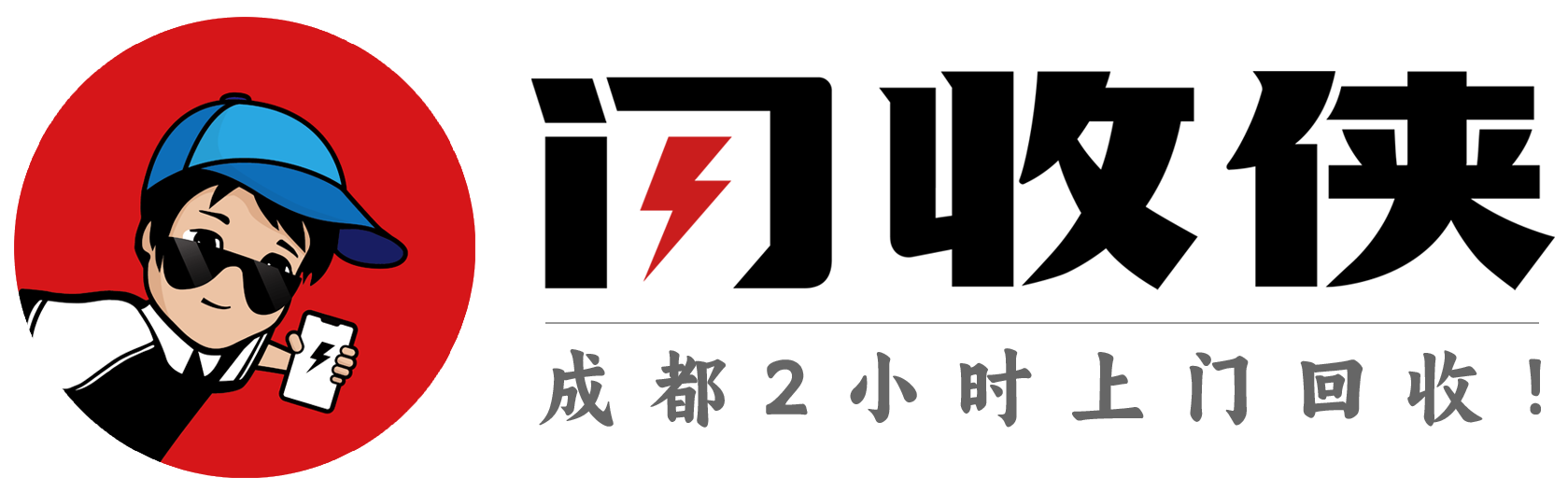 闪收侠Logo